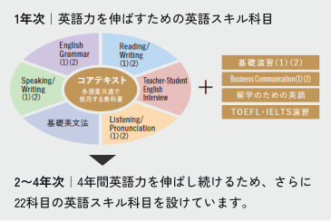 1年次：英語力を伸ばすための英語スキル科目、2〜4年次：4年間英語力を伸ばし続けるため、さらに22科目の英語スキル科目を設けています。