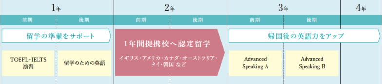 1〜4年でのサポートの流れ