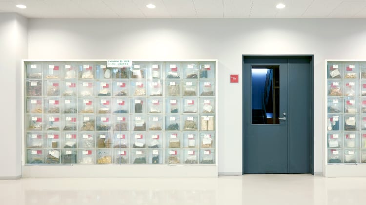 生薬標本室の写真1