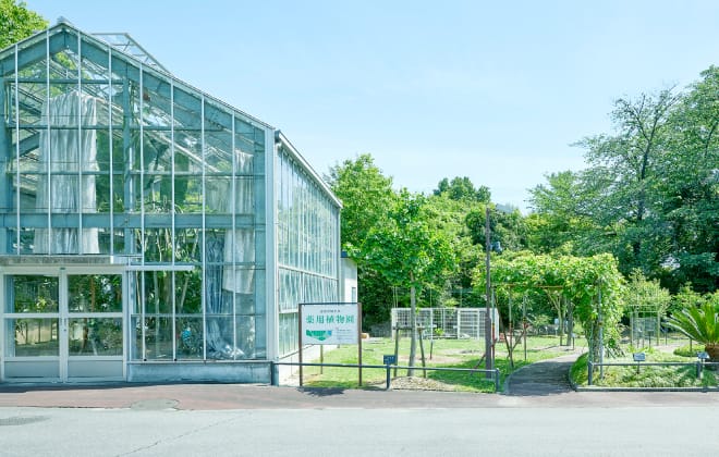 薬用植物園