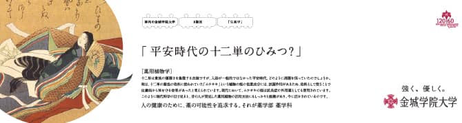 「平安時代の十二単のひみつ？」