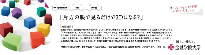 『片方の眼で見るだけで 3D になる？』