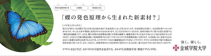 『蝶の発色原理から生まれた新素材？』