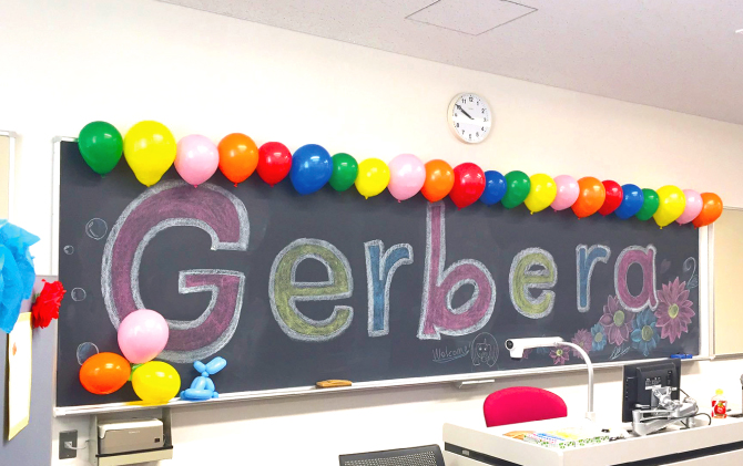 Gerberaの様子