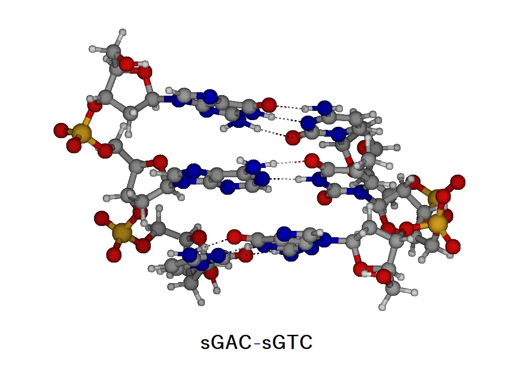 sGACsGTC
