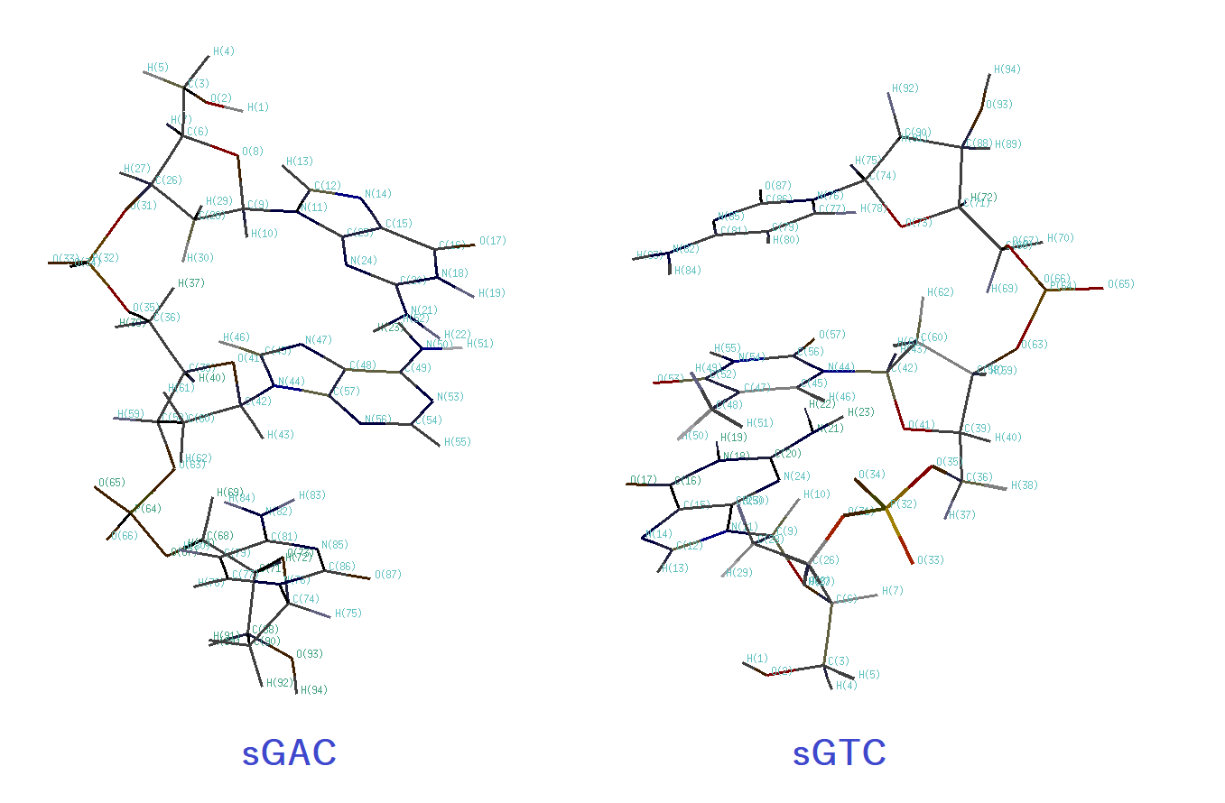 sGACsGTCnum
