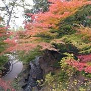 momiji3