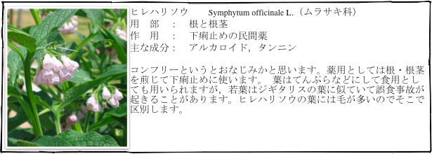 ￼ヒレハリソウ　　Symphytum officinale L.（ムラサキ科）
用　部　：　根と根茎
作　用　：　下痢止めの民間薬
主な成分：　アルカロイド，タンニン

コンフリーというとおなじみかと思います。薬用としては根・根茎を煎じて下痢止めに使います。 葉はてんぷらなどにして食用としても用いられますが，若葉はジギタリスの葉に似ていて誤食事故が起きることがあります。ヒレハリソウの葉には毛が多いのでそこで区別します。