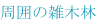 shapeimage_2_link_0