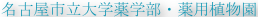 shapeimage_3_link_0